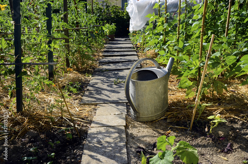 Fotografie Vegetable garden, permaculture and watering can