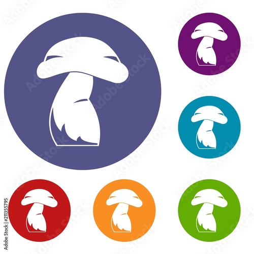 Good mushroom icons set in flat circle red, blue and green color for web