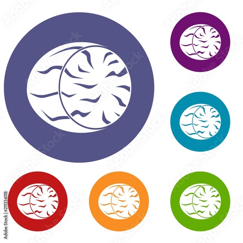 Half of nutmeg icons set in flat circle red, blue and green color for web
