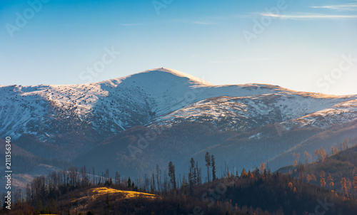 snowy top of Velykyi Verkh. beautiful morning scenery of late autumn in Carpathian mountains, Ukraine