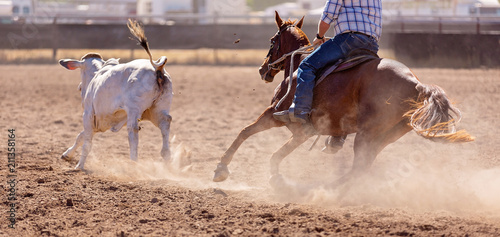 Fotografie Camp Draft Event , Rounding Up Cattle - Unique To Australia