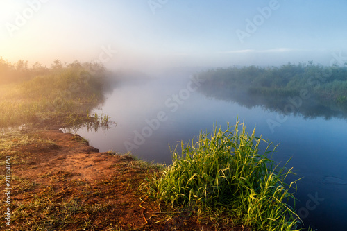 Poranek nad Narwią