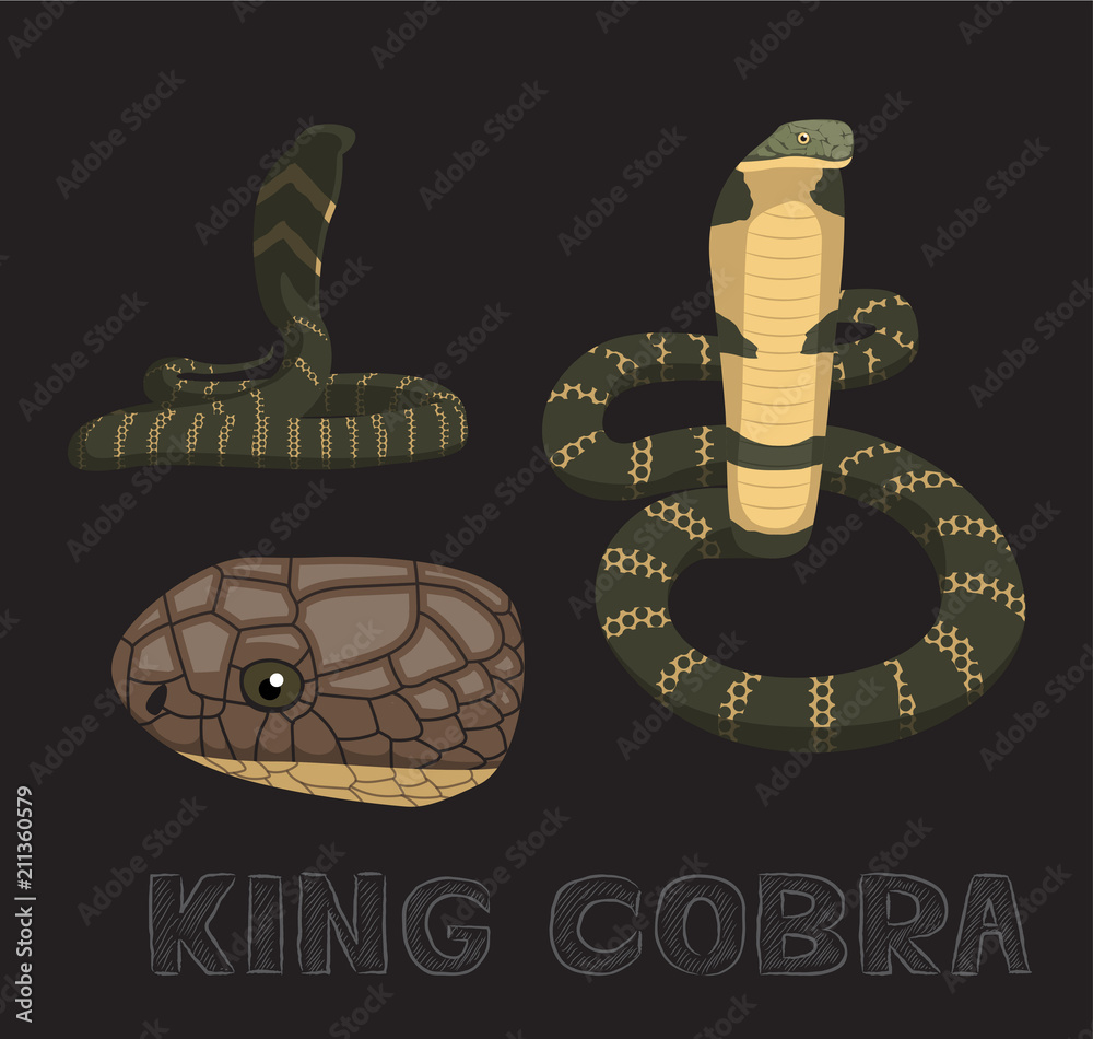Snake King Cobra Cartoon Vector Illustration Stock Vector | Adobe Stock Snake King Cobra Cartoon Vector Illustration Stock Vector | Adobe Stock