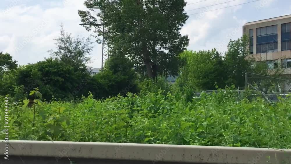 Green bushes and trees seen from a passing car window in summer with factory building in the back