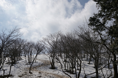 残雪の藤原岳