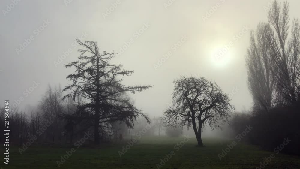 Sun coming through Foggy mist Sun coming through Foggy mist