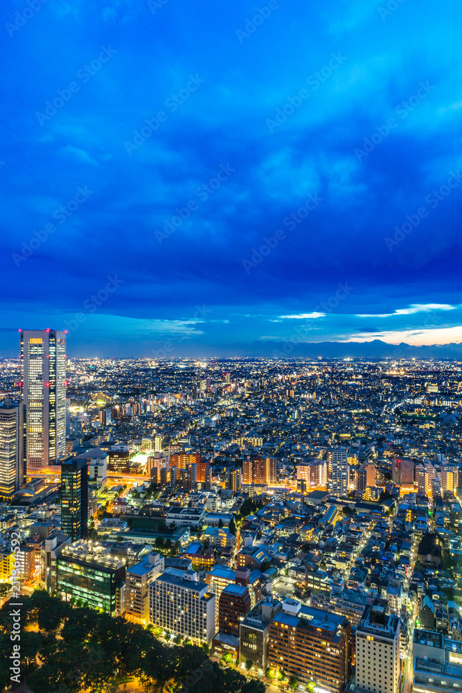 Obraz premium 新宿高層ビルから見る東京の夜景