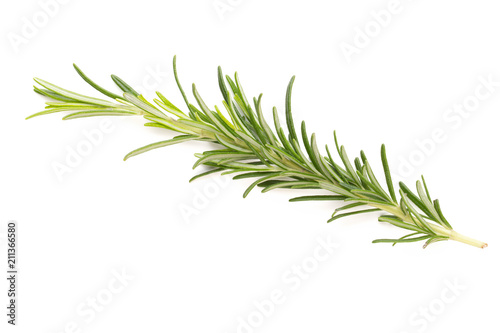 Rosemary spice on the white background.