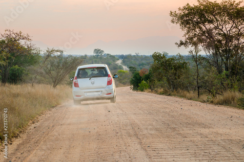 Game drive safari, Kruger National Park, South Africa © Codegoni Daniele