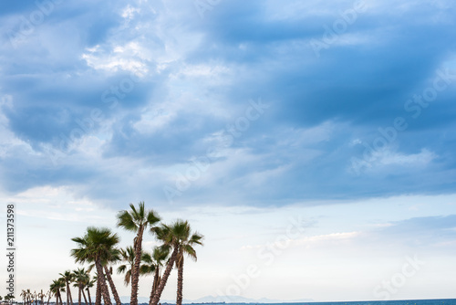 Palm trees on a beach to give shade