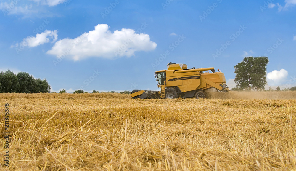 Fototapeta premium harvester machine