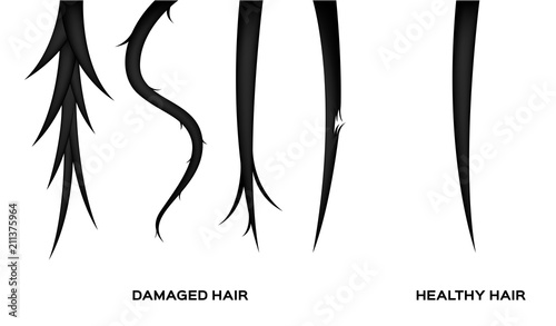 damaged hair and normal hair