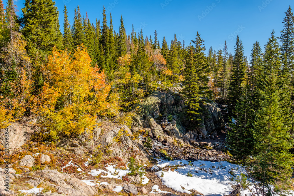 Season changing, first snow and autumn trees Season changing, first snow and autumn trees