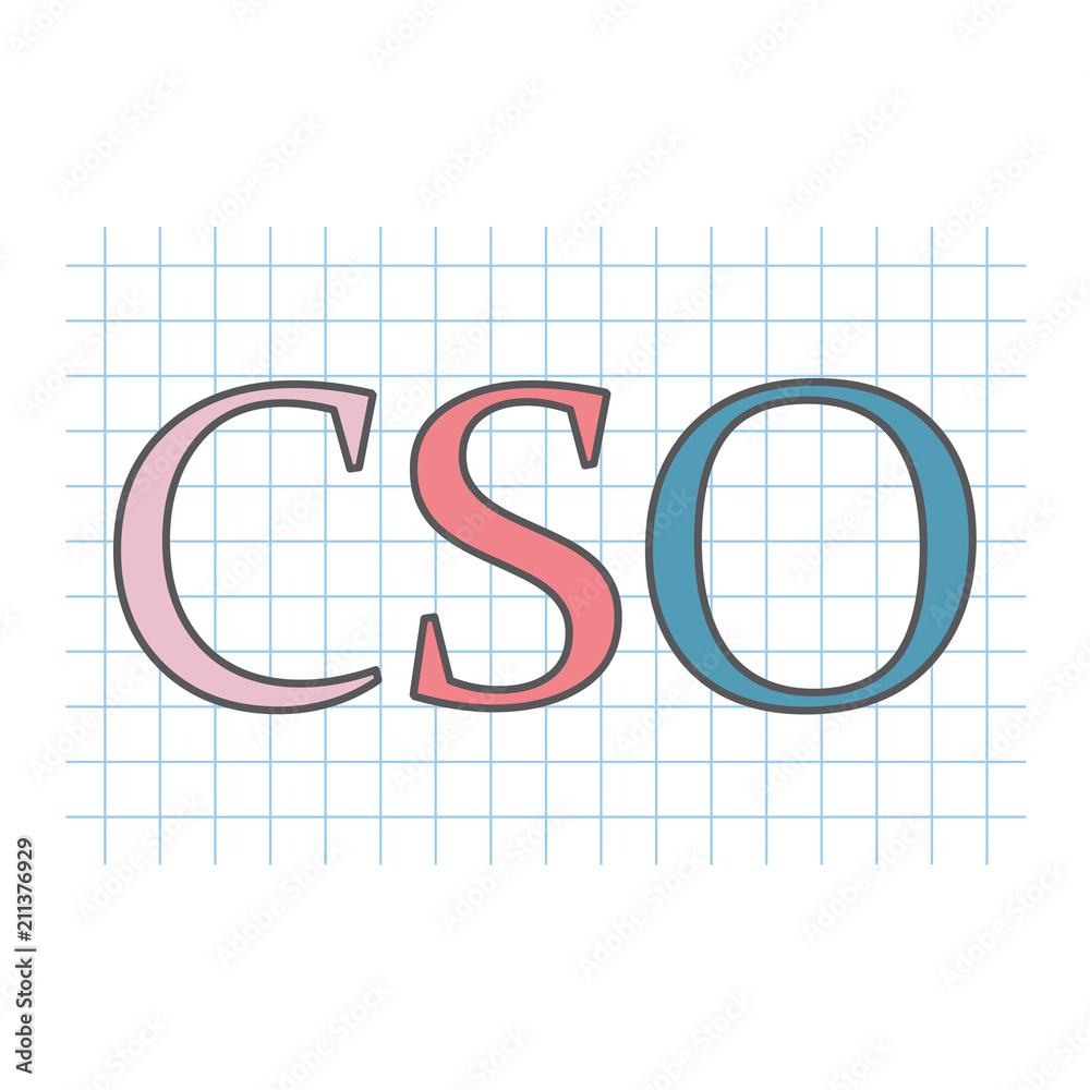 CSO (Chief Security Officer) written on checkered paper sheet- vector illustration