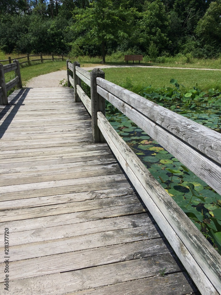 footpath bridge over a lily pad pond footpath bridge over a lily pad pond