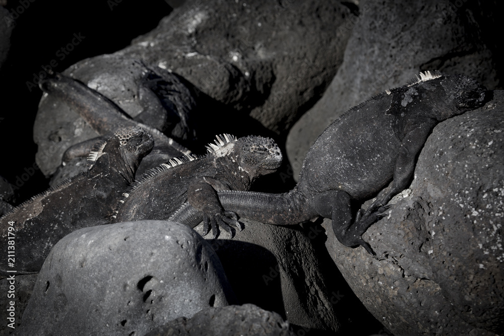 Fototapeta premium South America