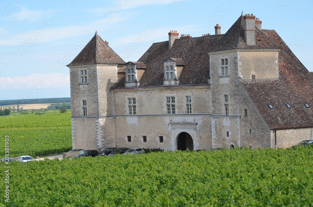 DOMAINE DU CHÂTEAU DE CLOS VOUGEOT VIGNE GRAND CRU Cote d'Or BOURGOGNE FRANCE