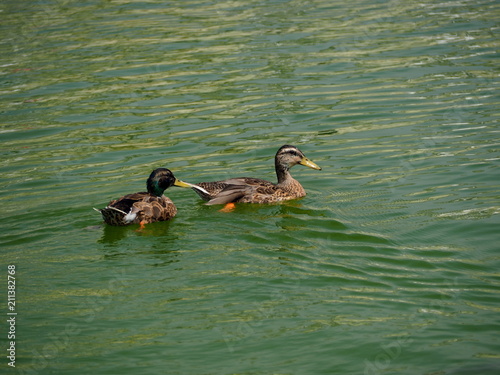 Jardin du Luxembourg