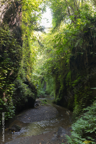 Tropical creek in a rock with high walls from plants and soil
