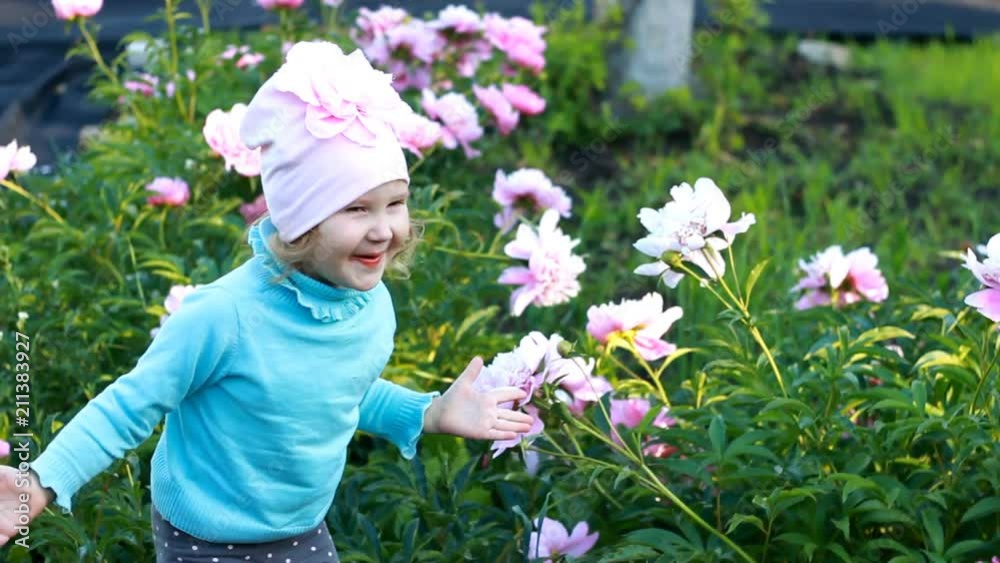 Child girl is playing in the garden with peonies. Happy baby covers his face with his hands and hides in peony.