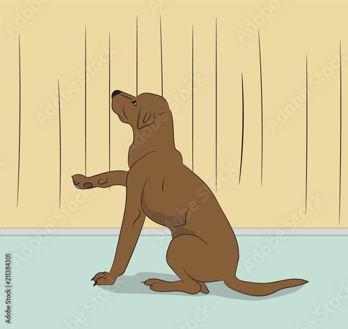 dog sitting in a room, vector