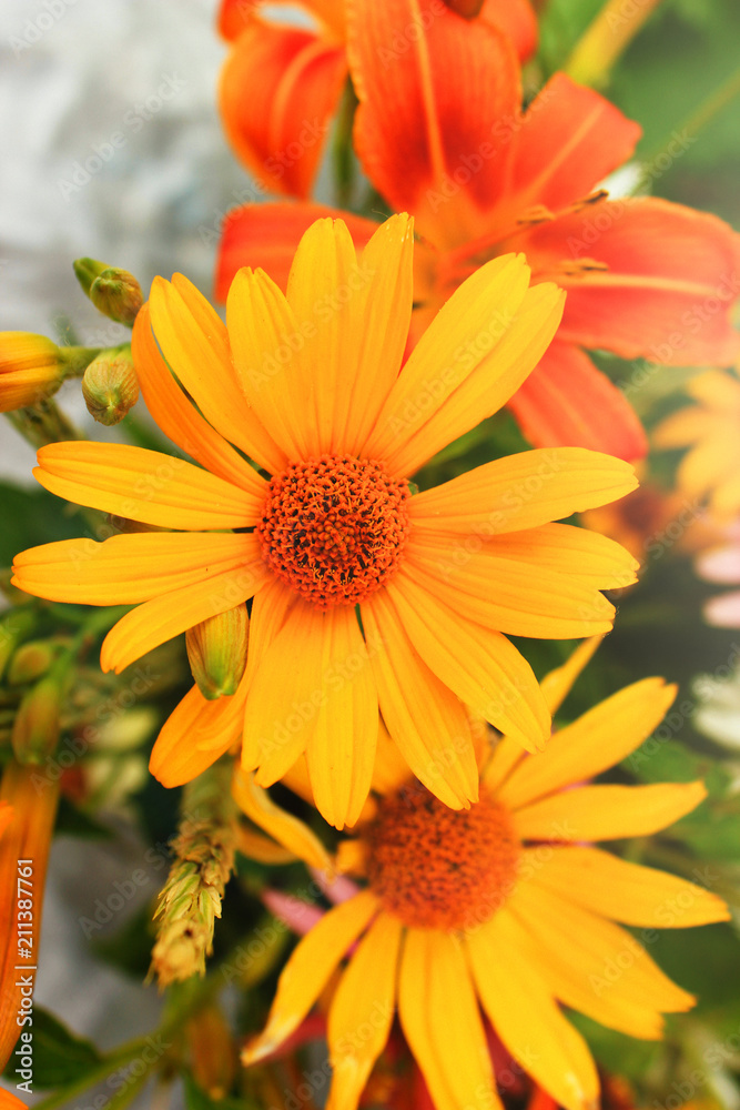 Bouquet of bright flowers. Summer nature. Sunny day, copy space Bouquet of bright flowers. Summer nature. Sunny day, copy space
