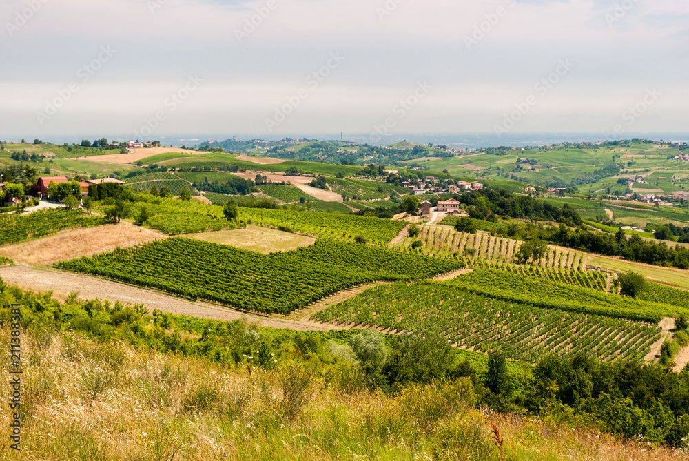 Cultivated hills in Oltrepo' Pavese (Lombardy, Italy)