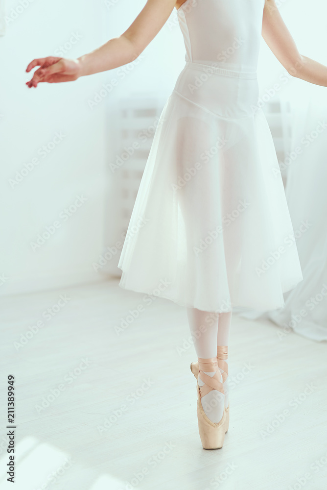 The beautiful girl is engaged in ballet in the training hall The beautiful girl is engaged in ballet in the training hall