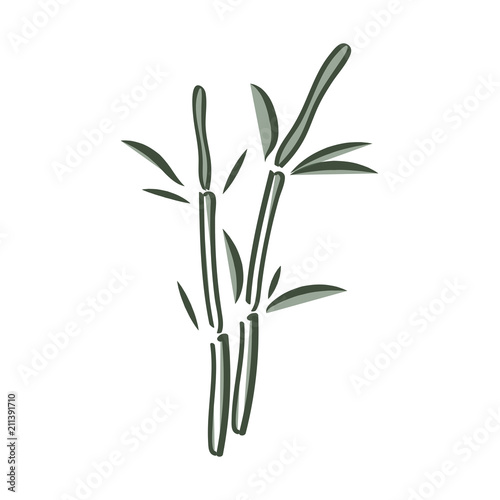 bamboo stems with leaves isolated on white background. Vector Illustration.