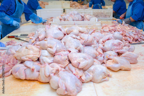 Chicken. Cutting shop of a poultry farm. Butcher is chopping a chicken