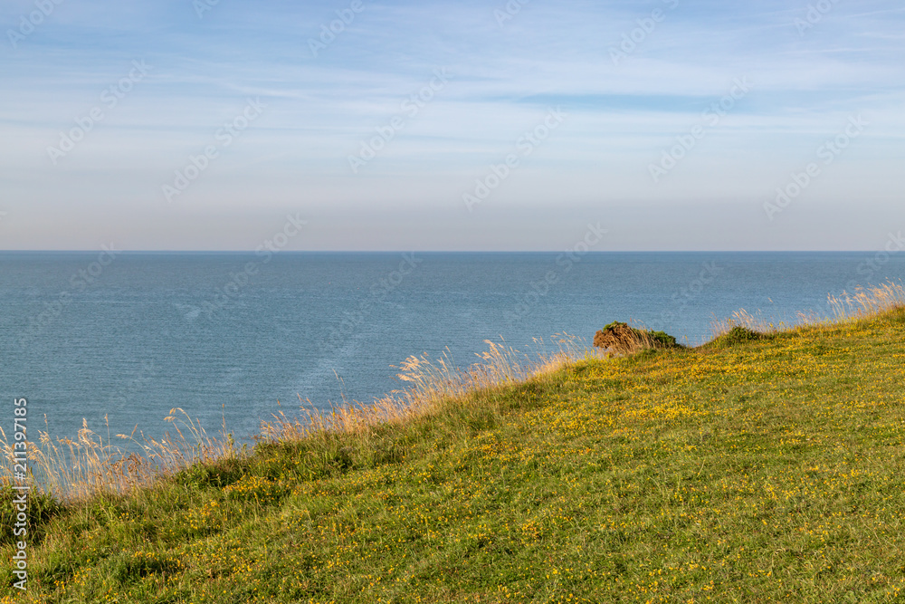 Looking out over a cliff to the sea, on the Sussex coast
