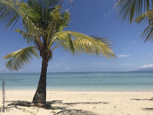 Palm trees on beautiful white sand beach, Modessa Island, Palawan, Philippines