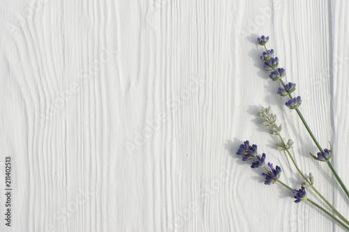 Lavender on a white wooden background