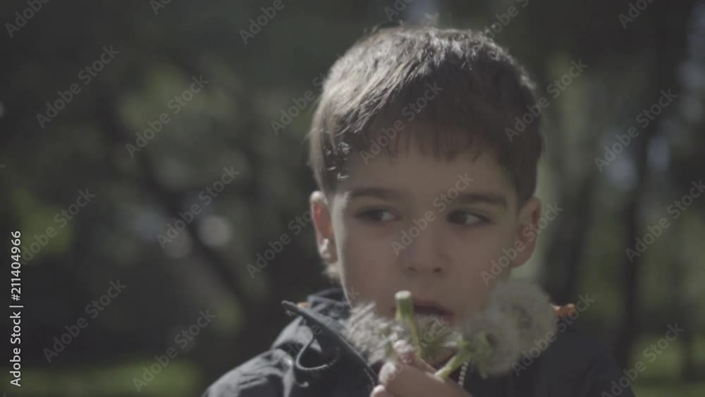 Preschooler blowing dandelion in the park.High speed camera, slow motion Preschooler blowing dandelion in the park.High speed camera, slow motion