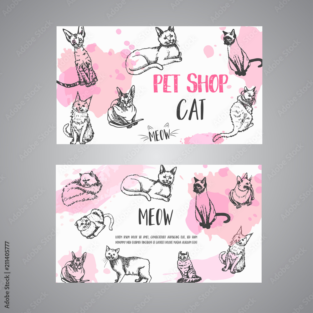 Fototapeta premium Pet shop business card with cats. cat meow text Vector illustration Cute kitten sketch. Pet care banner