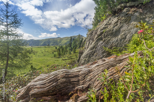 Landschaft in den Nockbergen