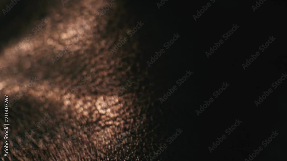 surface smooth polished textured shiny dark leather.closeup. surface smooth polished textured shiny dark leather.closeup.