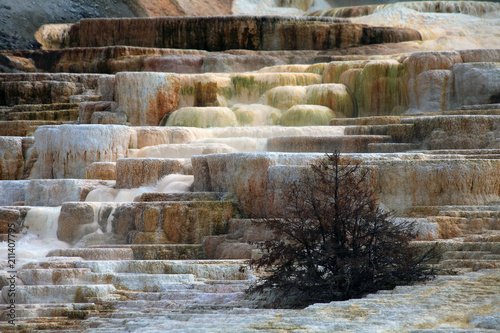Low Terraces, Mammoth Hot Springs, Yelowstone NP 