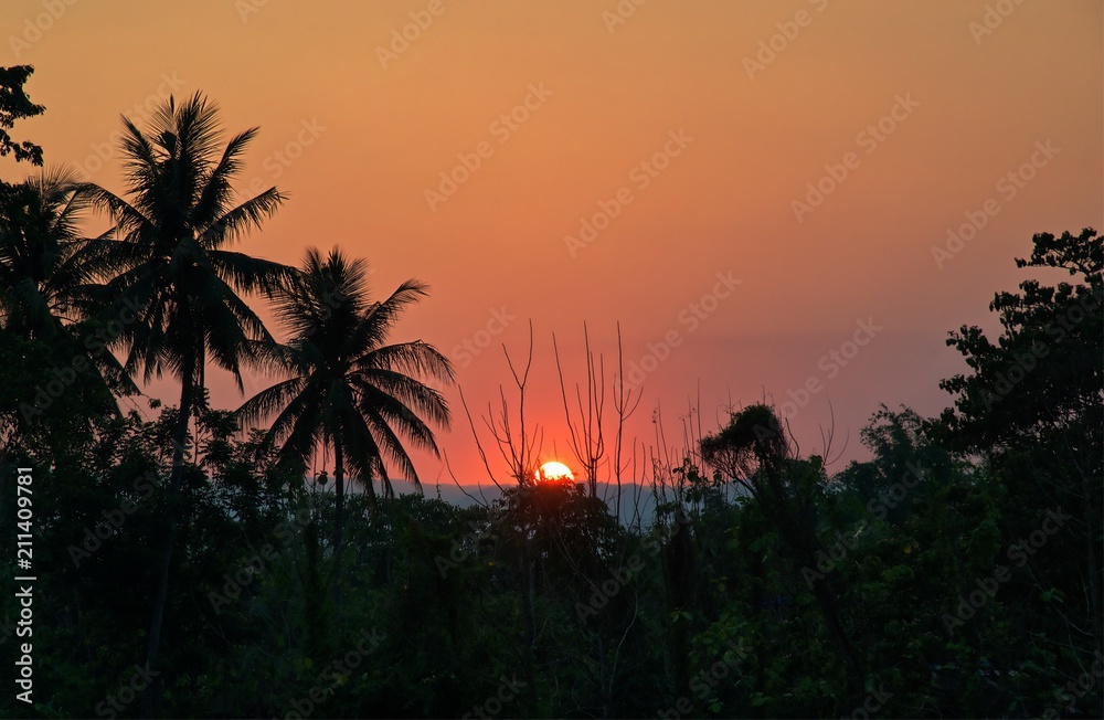 Obraz premium Sunset in mountain and tree silhouette