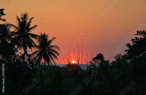 Sunset in mountain and tree silhouette