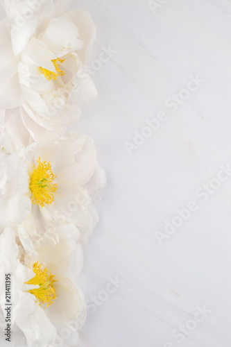 White peony flowers on marble background