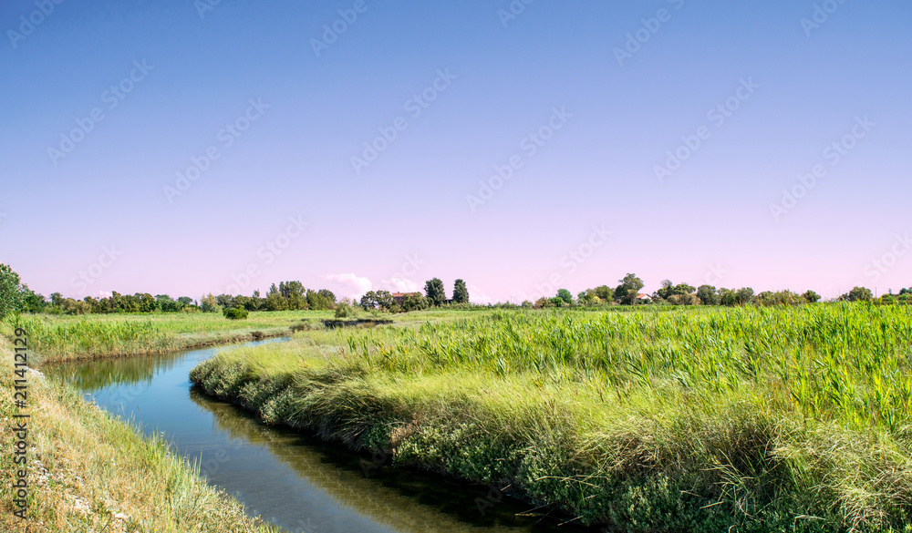 Fototapeta premium Island of Saint Erasmus morning landscape,Italy,29 June 2018,Venetian lagoon, the morning landscape of the vegetation site of the island of Saint Erasmus summer,horizon in pink-blue tones from the eff