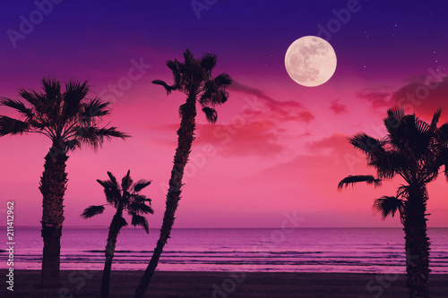 Tropical fantasy landscape with full moon at the beach