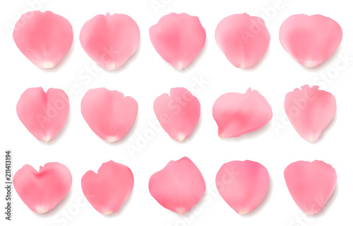 Vector collection of realistic pink rose petals with shadows isolated on white background.