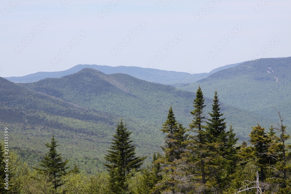 Naklejka premium Mountain range with treetops