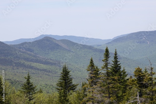Mountain range with treetops