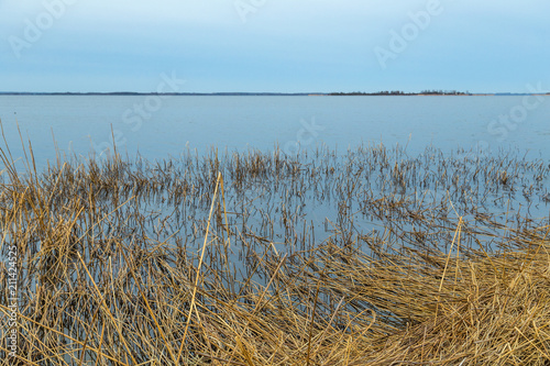 backwater landscape at the island of Usedom