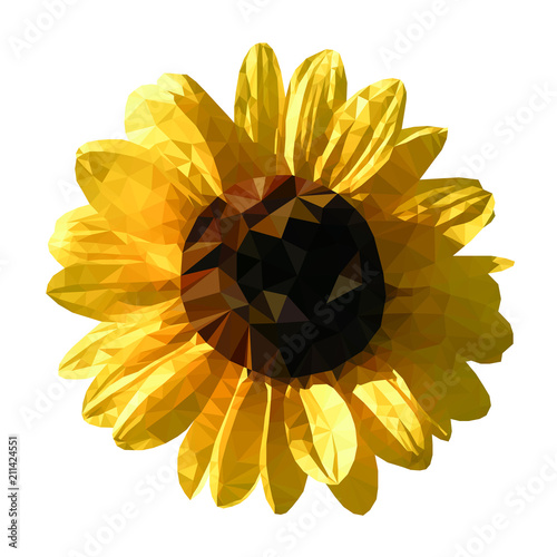 Abstract vector geometric background - sunflower, low poly style