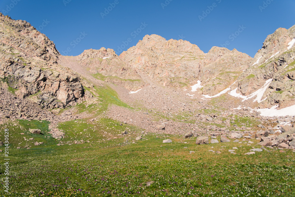 Landscape view of a field and mountains during the summer in Colorado. 