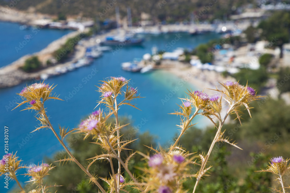Kalkan View with flowers Kalkan View with flowers